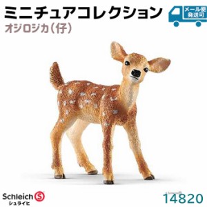 フィギュア オジロジカ 仔 14820 Schleich シュライヒ 鹿 動物フィギュア デザイン おしゃれ おもちゃ プレゼント インテリア ギフト ミ