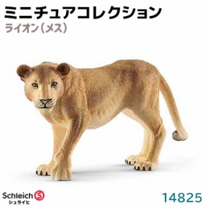 フィギュア ライオン メス 14825 Schleich シュライヒ 動物フィギュア デザイン おしゃれ おもちゃ プレゼント インテリア ギフト ミニチ