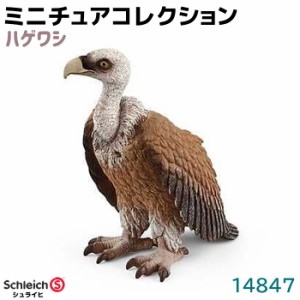 フィギュア ハゲワシ 14847 Schleich シュライヒ 鷲 ワシ イーグル 鳥 バード 動物フィギュア デザイン おもちゃ プレゼント インテリア 