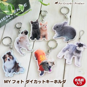 アクリルキーホルダー MYフォト  ＜ ダイカット アクキー ＞  4mm厚 両面フルカラー 切り抜き 【 １個：両面仕様 】 名入れ  犬  猫 オリ