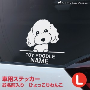 お名前入り カッティングステッカー Lサイズ （18×18cm）ひょっこり 犬 猫 屋外 耐水 UVカット ステッカー