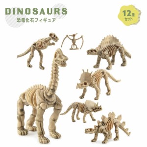 玩具 恐竜 骨 フィギュア 12種類セット 模型 ティラノサウルス プテラノドン ステゴサウルス 化石 置物 バースデー おもちゃ 男の子 ど迫