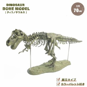 【在庫限り】 恐竜 ティラノサウルス 骨 70cm 骨格 模型 置物 玩具 バースデー おもちゃ 男の子 ど迫力 Birthday ダイナソー ジュラ紀 ジ
