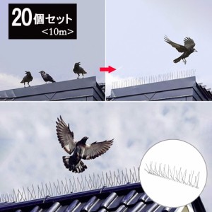 鳥よけ 針金 20個セット 害獣よけ スパイク 猫 ベランダ 玄関 ハト避け 糞害対策 侵入防止 予防 害獣 畑 バード 長さカット 可能 防鳥 カ