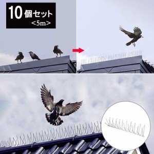 鳥よけ 針金 10個セット 害獣よけ スパイク 猫 ベランダ 玄関 ハト避け 糞害対策 侵入防止 予防 害獣 畑 バード 長さカット 可能 防鳥 カ