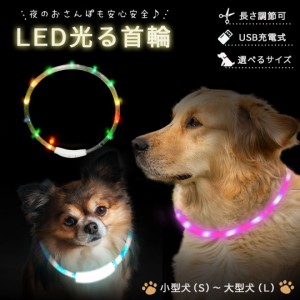【在庫限り】 ペット用品 犬 光る首輪 7色 レインボーカラー 3サイズ USB充電式 サイズ調整可能 虹色 夜道 散歩 充電式 安全 LED 小型犬 