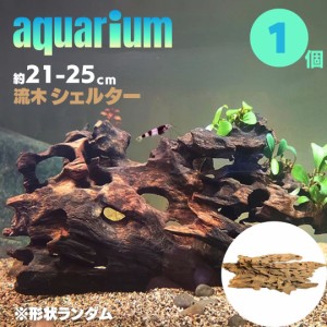 アクアリウム 流木 ーVer3ー 穴あき小魚シェルター 1個 形状お任せタイプ 21〜25cm 水槽撮影 テラリウム レイアウト用品 流れた木 水草 