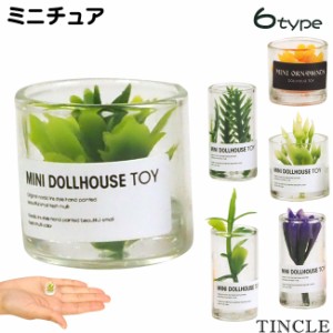 ミニチュア 植物 インテリア テラリウム 模型 ドールハウス ミニフィギュア 玩具 6type ゆうパケット6点まで[M便 1/6] FG069