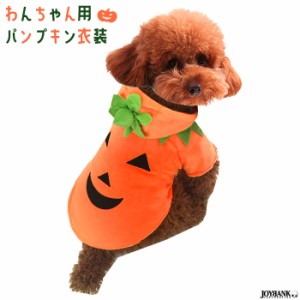 ペット 犬服 かぼちゃ パンプキン ハロウィン 仮装 衣裳 コスチューム 可愛い 変身 ゆうパケット1点まで[M便 1/1] WAN018