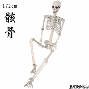 骸骨フィギュア 172cm どくろ 等身大 おもちゃ ホラー ハロウィン インテリア リアル ZA-728
