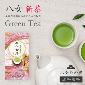 八女茶 お茶 新茶 日本茶 緑茶 茶葉 お茶の葉 専門店 100ｇ S-10 全国送料無料 八女茶の里 正規販売品 2024年度