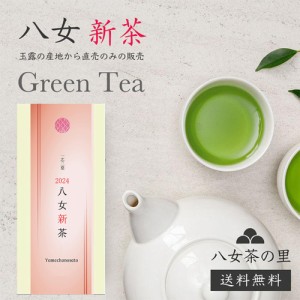 新茶 2024年度 お茶 送料無料 日本茶 緑茶 お茶の葉 八女茶 煎茶 茶葉 100g SS-12 八女茶の里 正規販売品