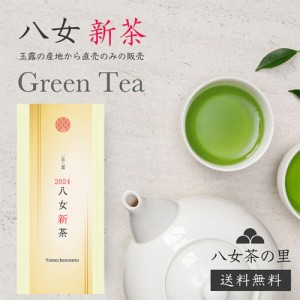 新茶 2024年度 お茶 送料無料 日本茶 緑茶 お茶の葉 八女茶 専門店 煎茶 茶葉 100g SS-15 八女茶の里 正規販売品