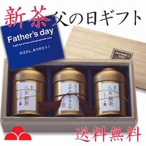 父の日 限定 ギフト プレゼント 2024年度 新茶 お茶 送料無料 日本茶 緑茶 八女茶 専門店 煎茶 品評会出品玉露 健康 T-100 八女茶の里