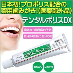 【医薬部外品】 デンタルポリスDX 80g プロポリス配合  （安心の追跡番号付きk）