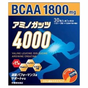 【送料込み】【2個セット】アミノガッツ4000 5g×30包【リブ・ラボラトリーズ】