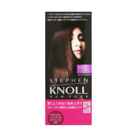 コーセー　KNOLL スティーブンノル カラークチュール クリームヘアカラー 6B