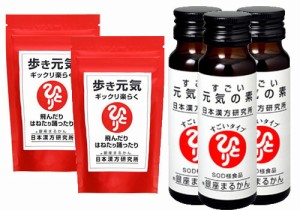 【送料込み】【元気の素 50ml×3本付き】銀座まるかん 歩き元気 ギックリ楽らく（大）240g（約930粒）【2個セット】【斎藤一人】