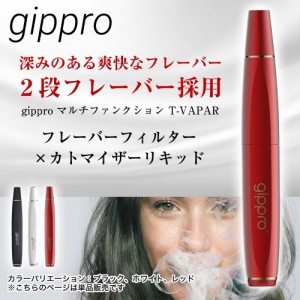 gippro ジプロ SW-1 エレクトロニック スティック 電子タバコ 加熱式タバコ 互換機 プルームテッ