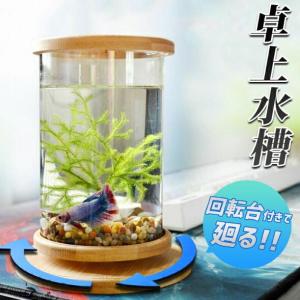水槽 オブジェ かわいいの通販 Au Pay マーケット 水槽 オブジェ かわいいの通販 Au Pay マーケット