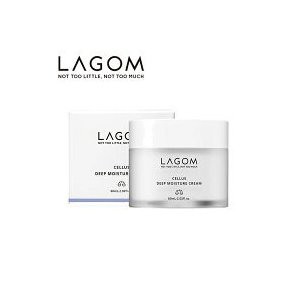 【国内正規品】LAGOM ラゴム ディープ モイスチャークリーム 60mL 送料無料 高保湿 乾燥 透明感 韓国コスメ