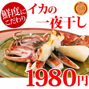 大きい 肉厚 国産 いか の 一夜干し (約250g) 1枚 無添加 塩イカ 汐イカ 干物 お取り寄せ グルメ 食べ物 人気 新潟 海産物 一人暮らし ご