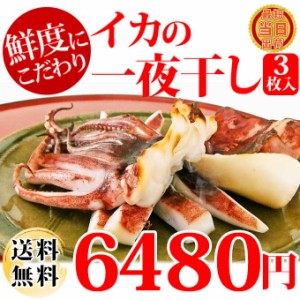 送料無料 大きい 肉厚 国産 いか の 一夜干し (約250g) 3枚 セット 無添加 塩イカ 汐イカ 干物 お取り寄せ グルメ 食べ物 人気 新潟 海産