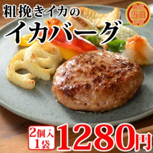 イカ の ハンバーグ イカバーグ 2個入×1袋 イカメンチ イカハンバーグ シーフードハンバーグ お取り寄せ グルメ 食べ物 人気 新潟 海産