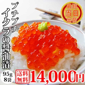 送料無料 いくら の 醤油漬け 95g×8袋 個包装 イクラ 丼 海鮮丼 鮭 はらこ お取り寄せ グルメ 食べ物 人気 新潟 海産物 一人暮らし ご飯