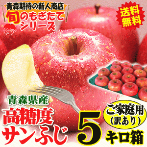 出荷中！青森 りんご 5kg箱 サンふじ ご家庭用/訳あり りんご 訳あり 5キロ箱 クール便 大小様々★サンふじ 家訳 5kg箱