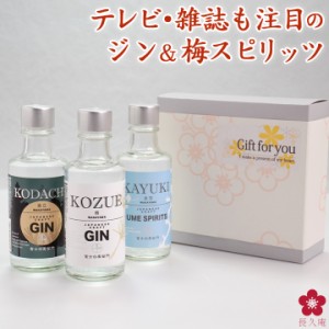 クラフトジン ジン 父の日 母の日 プレゼント ギフト テイスティングセット 富士白蒸留所 送料無料 小容量 飲み切り 飲み比べ スピリッツ