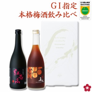 梅酒 飲み比べセット 母の日 父の日 プレゼント ギフト 送料無料 贈り物 GI和歌山梅酒 指定 本格梅酒 紅南高 長期熟成 長久 日本一 グラ