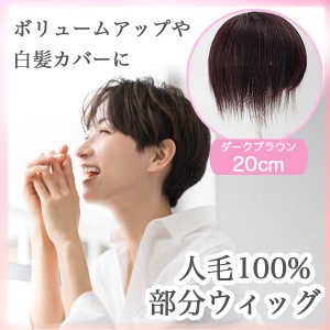 白髪 80 ヘアピースの通販｜au PAY マーケット