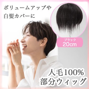 人毛100％ 部分ウィッグ ヘアピース 軽量 蒸れにくい 装着簡単 白髪隠し 20cm（ブラック）29HO