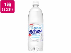 日本サンガリア 伊賀の天然水 強炭酸水 1L×12本