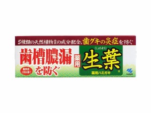 小林製薬 生葉a 100g