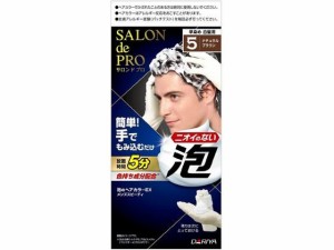 ダリヤ サロンドプロ 泡のヘアカラーEX メンズS(白髪用) 5