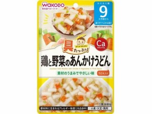 和光堂 具たっぷり 鶏と野菜のあんかけうどん