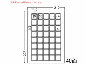 NANA カラーレーザープリンタ用耐水光沢紙ラベル A4 40面 SCL71