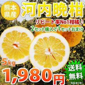 和製グレープフルーツ 訳あり河内晩柑 5kg 熊本県産 送料無料 2箱購入でおまけ増量【東北200円、北海道400円、沖縄・離島1000円の追加送