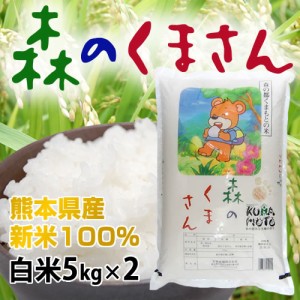 米 新米 送料無料 森のくまさん 令和5年産 熊本県産 白米 5kgx2 計10kg