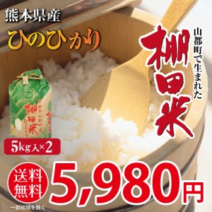 米 新米 送料無料 棚田米 ひのひかり 熊本県産 令和5年産 5kg x 2袋 計10kg