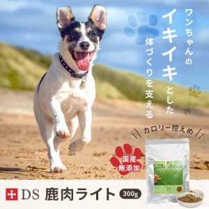 DOG STANCE 鹿肉 ライト 300g ダイエット 成犬用