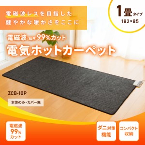 電磁波カット ホットカーペット 1畳タイプ(本体のみ・カバー無) ZCB-10P