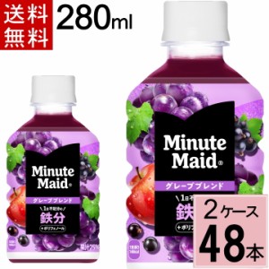 ミニッツメイド グレープブレンド 鉄分 280ml PET 送料無料 合計 48 本（24本×2ケース）ミニッツメイドまとめ買い グレープ 鉄分 490210