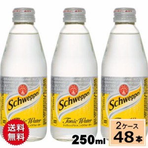 シュウェップス トニックウォーター 250ml OWB 送料無料 合計 48 本（24本×2ケース）炭酸飲料 炭酸 トニックウォーター ソーダ割り 4902