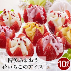 博多あまおう 花いちごのアイス【10個】アイスクリーム ギフト 送料無料 あまおう アイス いちご ギフト 女性 洋菓子 詰め合わせ お菓子 