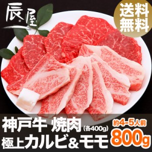 神戸牛 焼肉 セット 極上 カルビ ＆ モモ 800g（約4-5人前） 送料無料  冷蔵