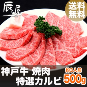 神戸牛 焼肉 特選カルビ 500g（約3人前） 送料無料  冷蔵