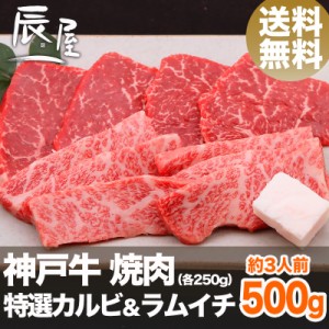 神戸牛 焼肉 セット 特選 カルビ ＆ ラムイチ 500g（約3人前） 送料無料  冷蔵